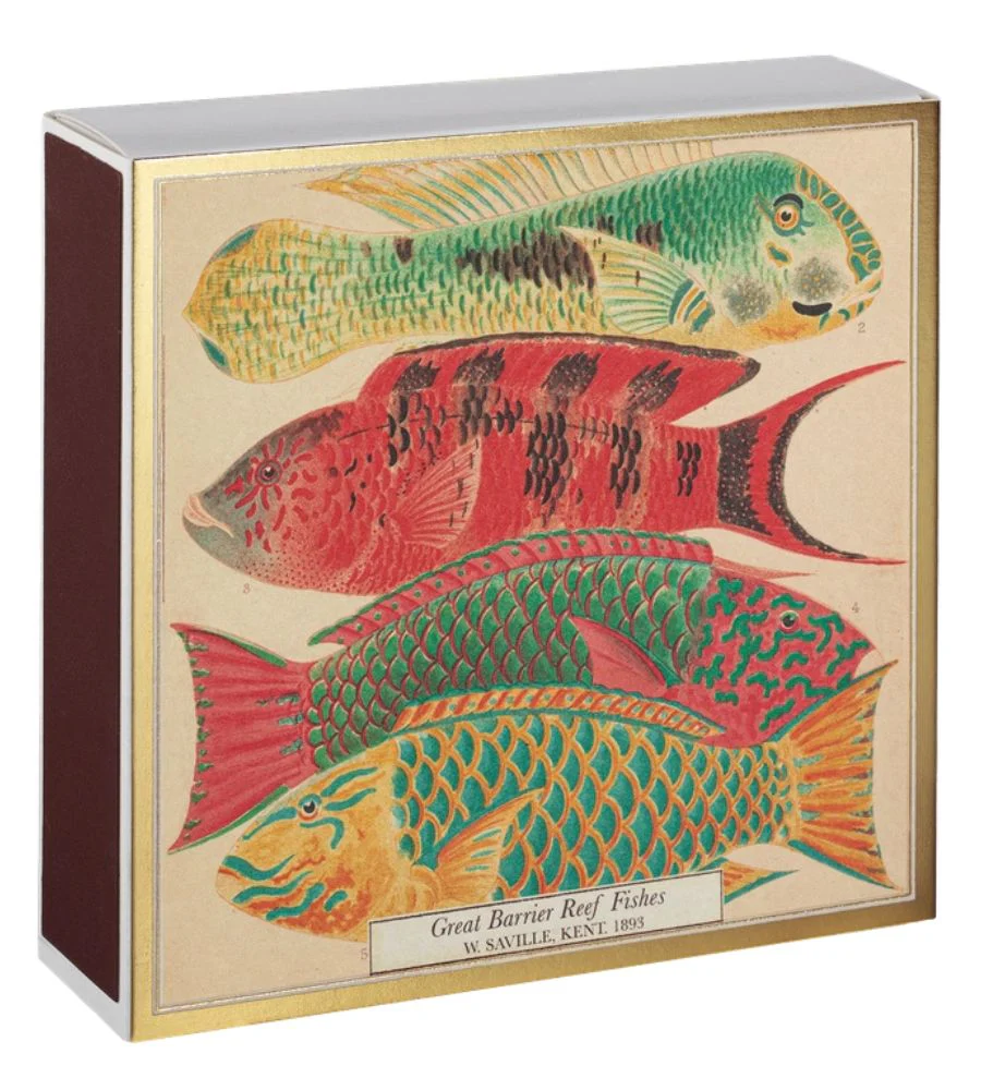 B314 Fish Matches