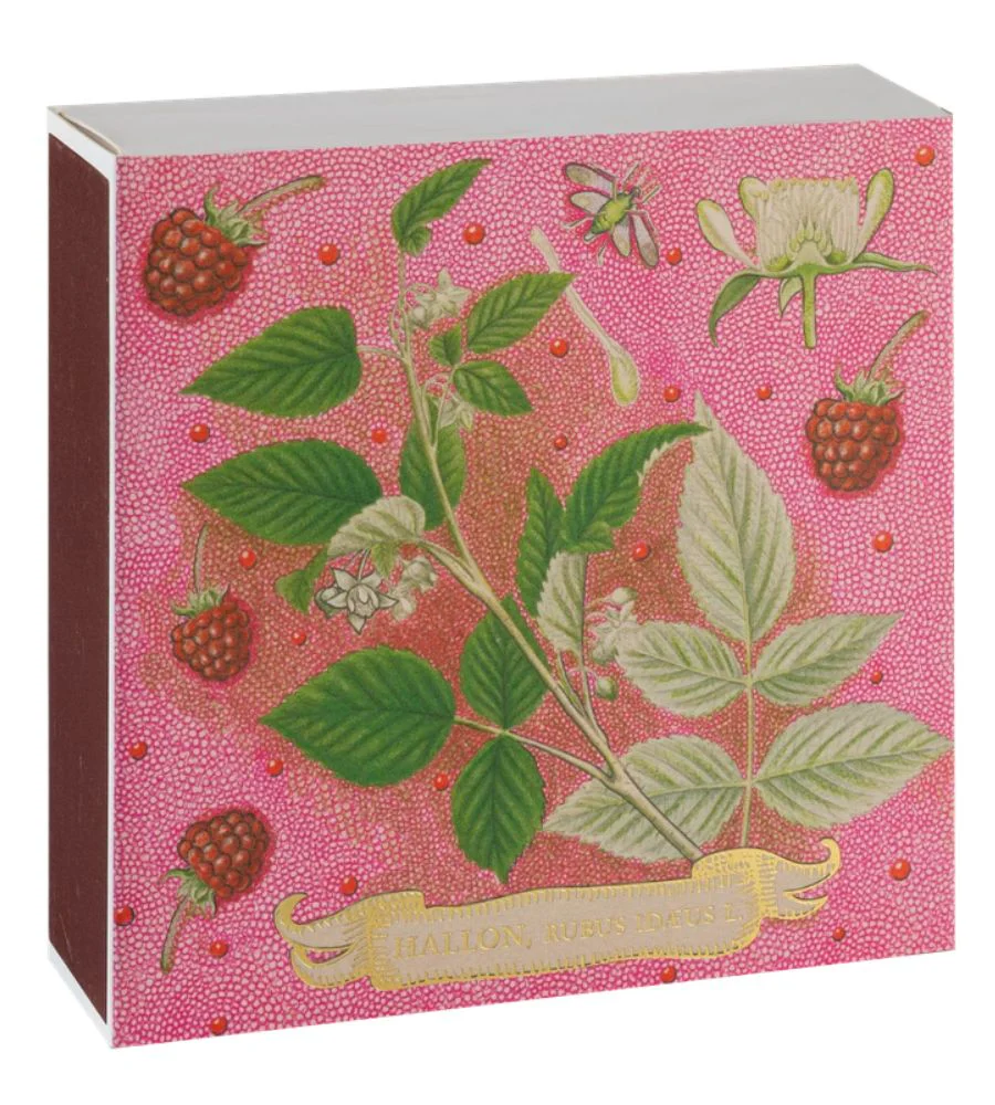 B379 Rose Framboise Matches
