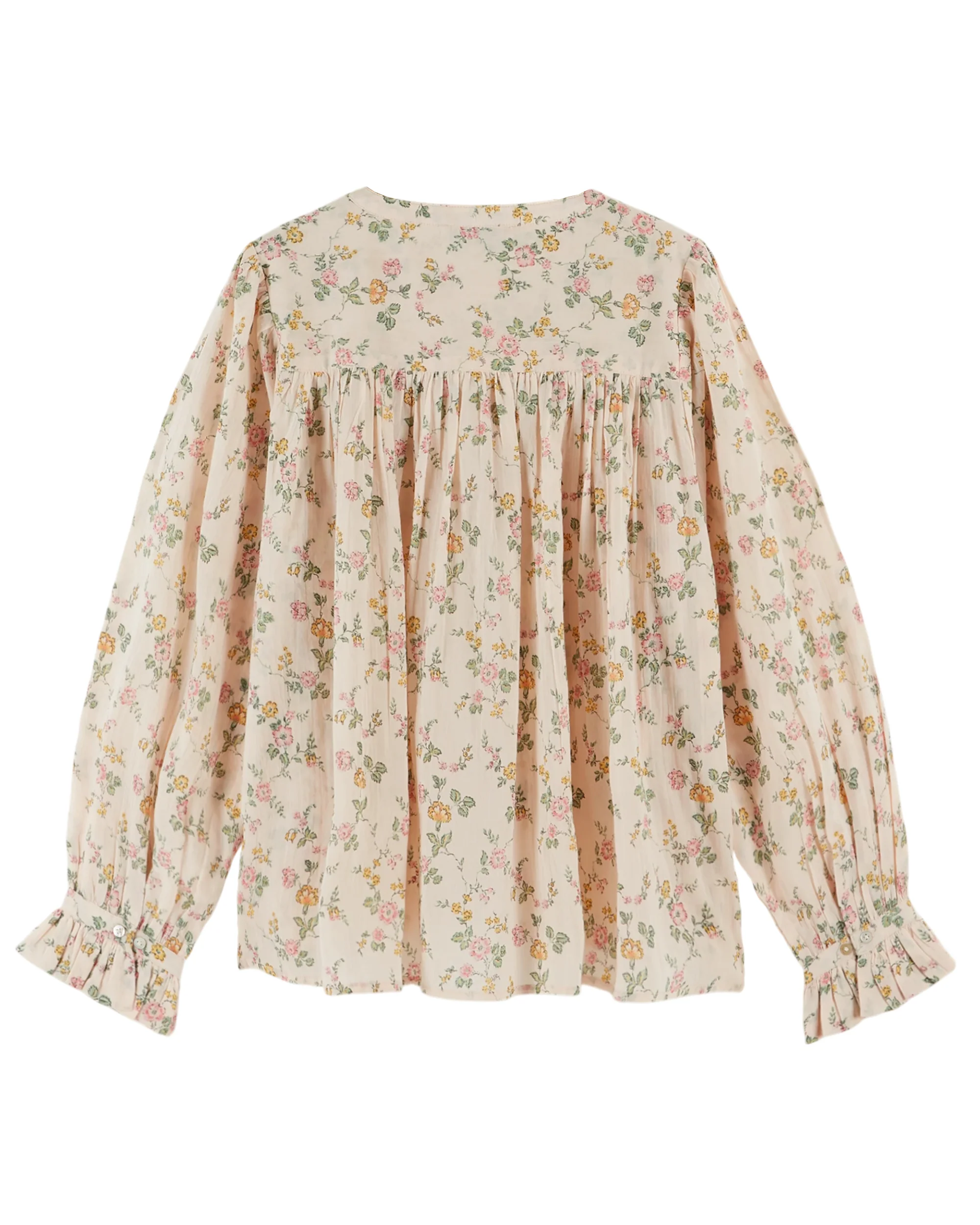 Dounia - Rosier - Image 3